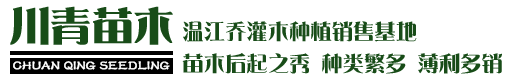 四川華銳凈化工程有限公司